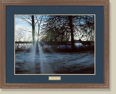 Winter's Evening Scout-Whitetail by Anthony Padgett (image for) Winter's Evening Scout-Whitetail by Anthony Padgett